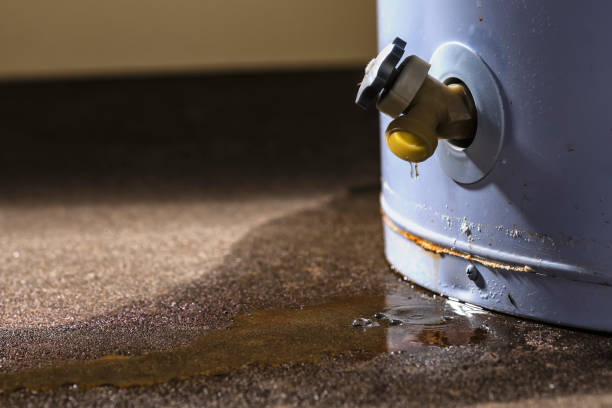 Best Sewage cleanup and water damage restoration  in Puget Island, WA