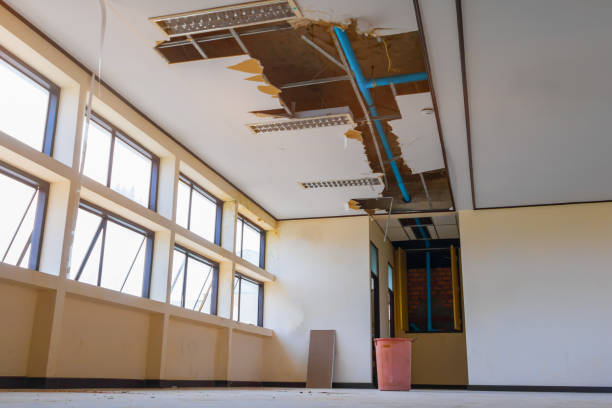Best Commercial water damage restoration  in Puget Island, WA