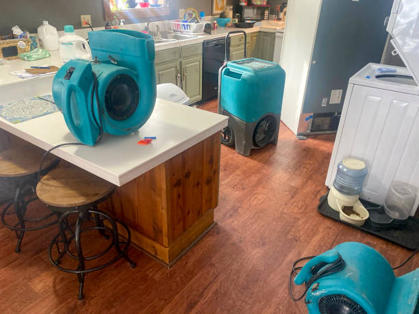 Best Water damage contractors near me  in Puget Island, WA