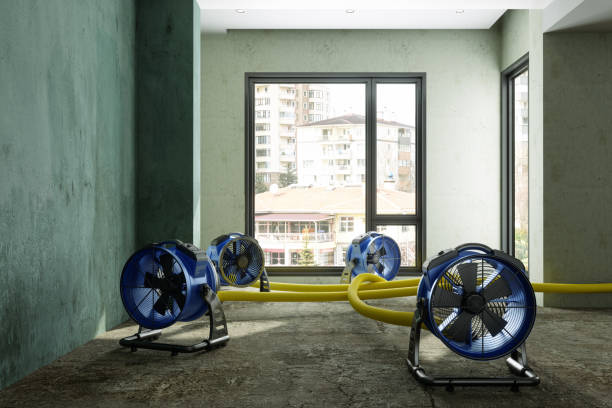 Best Basement water damage restoration  in Puget Island, WA